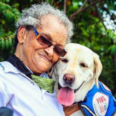 FDA: Εγκρίνει την πρώτη θεραπεία με μονοκλωνικά αντισώματα για σκύλους με αρθρίτιδα