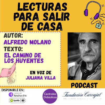 Cronica - El camino de los huyentes Cronica - El camino de los huyentes