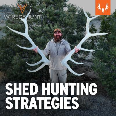 Ep. 1006: Shed Hunting Strategies from East Coast to West with ShedCrazy Ben Dettamanti
