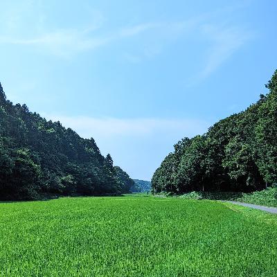 【6-6】今年のお盆のアフタートーク【祭りFM】