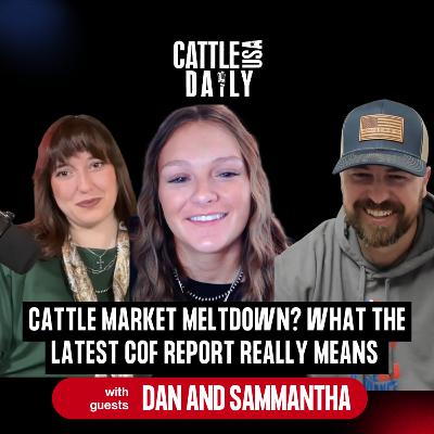 203: Cattle Market Meltdown? What the Latest COF Report REALLY Means with Dan and Samantha 203: Cattle Market Meltdown? What the Latest COF Report REALLY Means with Dan and Samantha