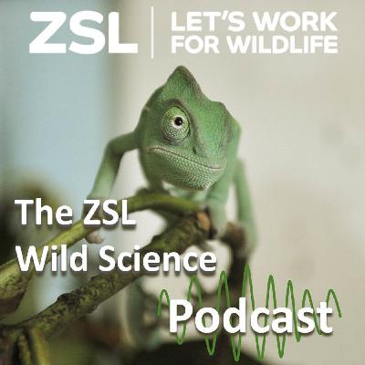 ZSL #039 Wild Science is back for 2024