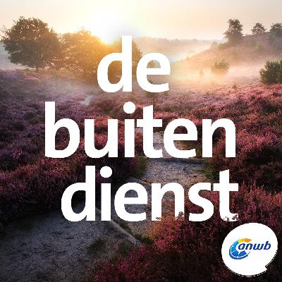 De bossen van de Veluwe De bossen van de Veluwe