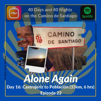 Day 16 - Alone Again - Castrojeriz to Poblacion de Campos [33km, 6 hrs] (Episode 22)