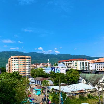 หาเงินจากเว็บไซต์แบบง่ายๆ ด้วยการทำ Local SEO หาเงินจากเว็บไซต์แบบง่ายๆ ด้วยการทำ Local SEO