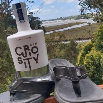 Curiosity Gin