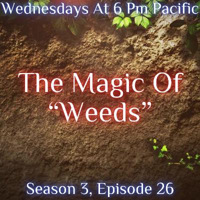 The Magic Of “Weeds”