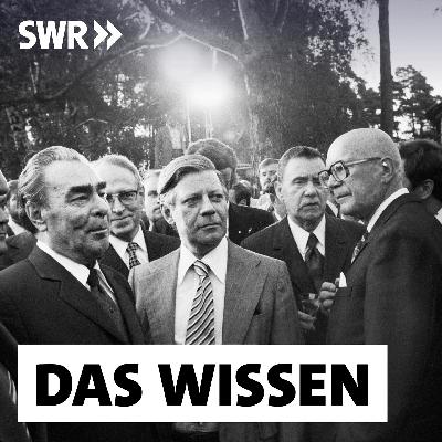 Vom Kalten Krieg bis heute – Taugt die OSZE als Friedensstifter?