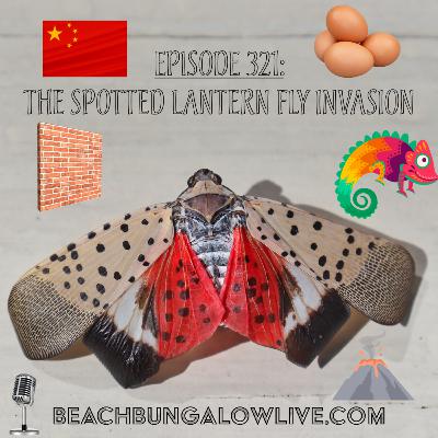 321: The Spotted Lantern Fly Invasion