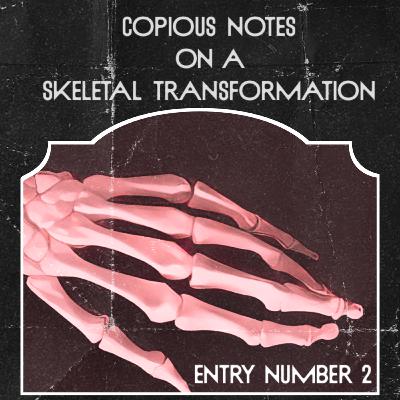 skeleton transformation 2