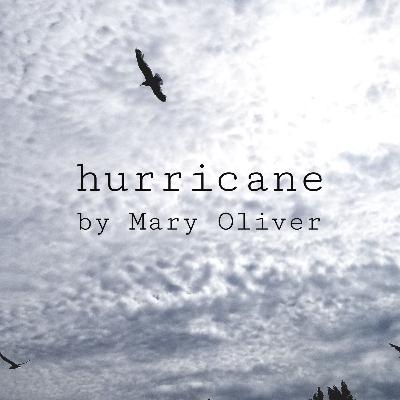 Hurricane by Mary Oliver