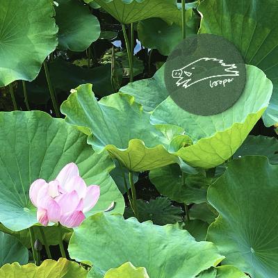 睡莲抱着Mixtape躺在梅雨天的深水公寓 睡莲抱着Mixtape躺在梅雨天的深水公寓