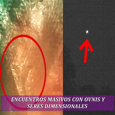 Encuentros Masivos con OVNIS y Seres Dimensionales....