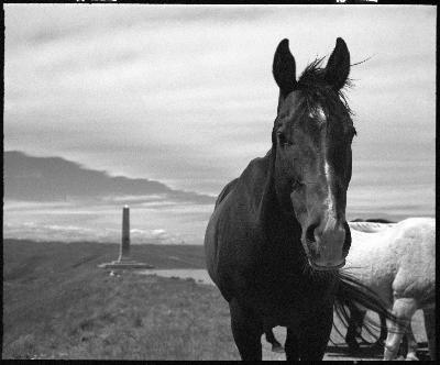 I Was Wrong About Solitude and Isolation.