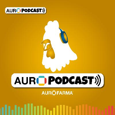 Avicultura - Nutrición Especializada 🐥🤓👆 Avicultura - Nutrición Especializada 🐥🤓👆