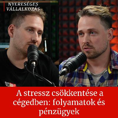 30. A stressz csökkentése a cégedben: folyamatok és pénzügyek │ Kis Dániel és Sándorfy Adrián