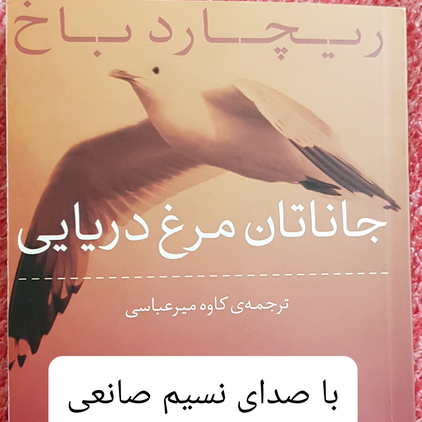 جاناتان مرغ دریایی، بخش سوم