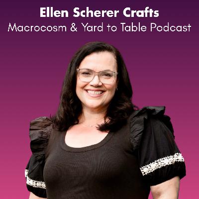 Ellen Scherer Crafts - Storytelling, Strategy & Building a Creative Life