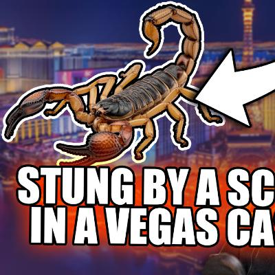 STUNG by Scorpion in Vegas Casino, $180K Baccarat Cheating Plot & March Madness! | WISE KRACKS