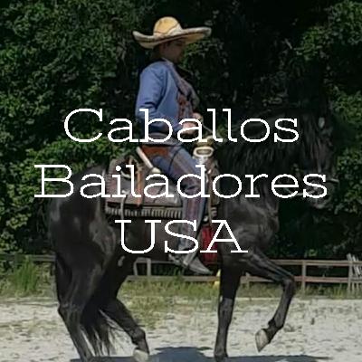 Joaquin Nieto Reynoso Caballos Bailadores USA