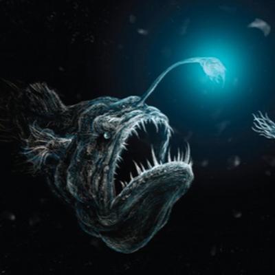 The Lake Of Horrors