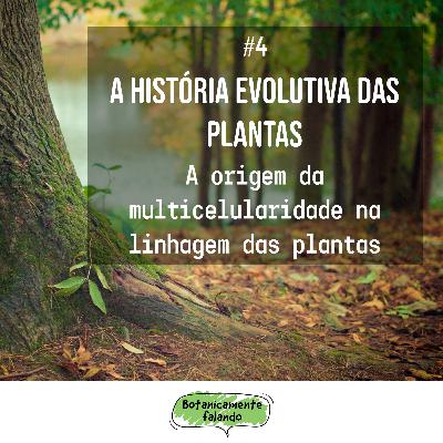 A história evolutiva das plantas #4: A origem da multicelularidade na linhagem das plantas - Botanicamente falando