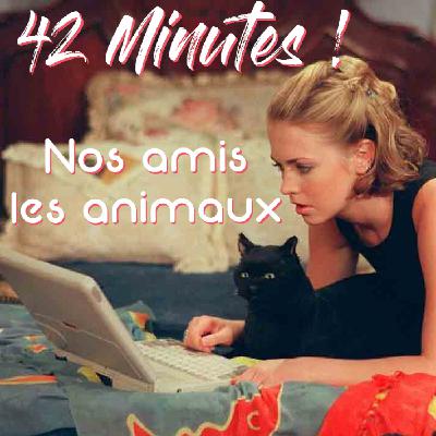 S06E15 - Nos amis les animaux