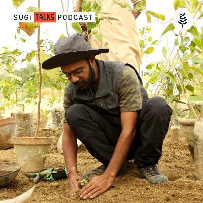 Restoring an ancient desert forest in Rajasthan.