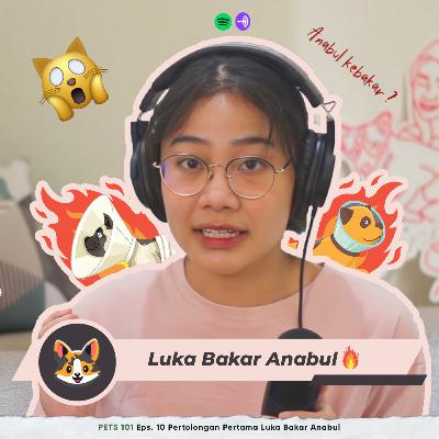 PETS 101 Eps. 10 Pertolongan Pertama Luka Bakar Anabul