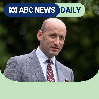 How Stephen Miller is shaping Trump’s agenda