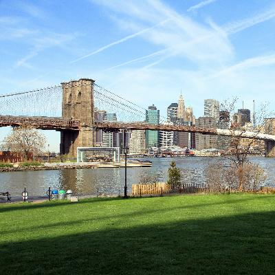 The lost and future wildlife of New York City's East River