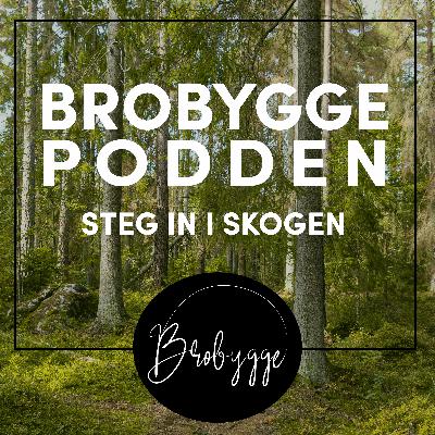 Pilgrimsvandring – när stegen tar oss både ut och in Pilgrimsvandring – när stegen tar oss både ut och in