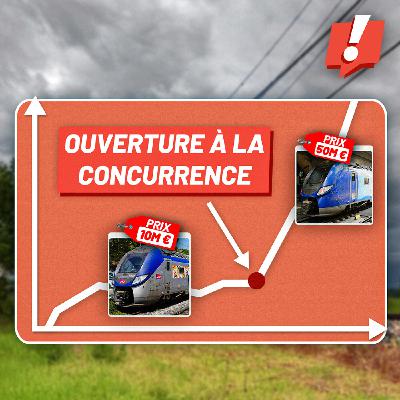 #60 Bientôt une pénurie de TER ? Confidences d’Alain Picard - DG de CAF France