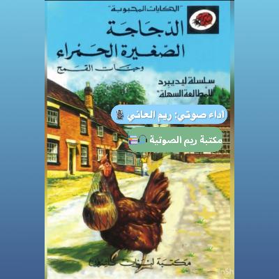 الدجاجة الصغيرة الحمراء و حبات القمح