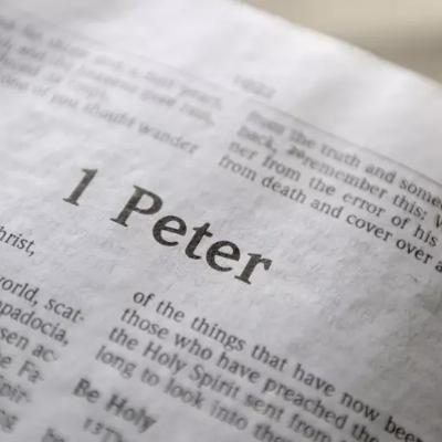 Leading & Serving - 1 Peter 4:8-11, 5:1-6 - Wednesday 19th November 2025 - Steve Kelly