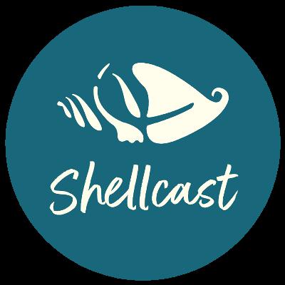 Episode 1: Sanibel beach time