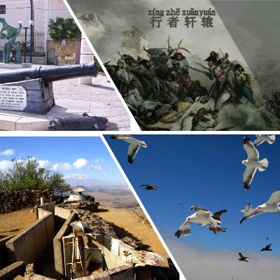 海鸥拿破仑18世纪末雅法古城的无妄之灾