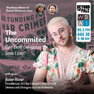 The Uncommitted with DNC Delegate June Rose The Uncommitted with DNC Delegate June Rose