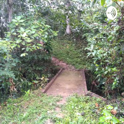 ¡Adivina adivinador!