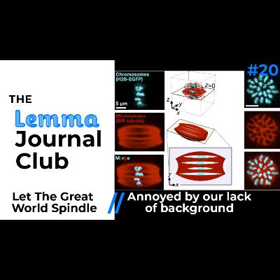 Let The Great World Spindle // Annoyed By Our Lack Of Background [20]