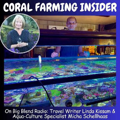 Linda Kissam and Micha Schellhaas - Coral Farming Insider Linda Kissam and Micha Schellhaas - Coral Farming Insider