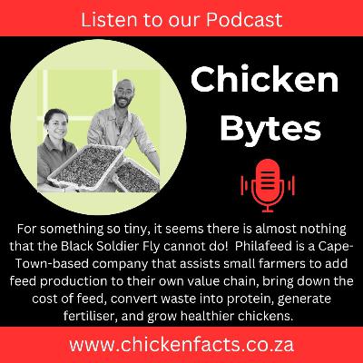 Big Protein Small Soldier Big Protein Small Soldier