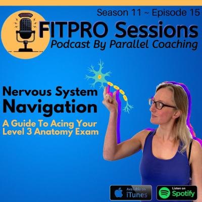 [S11: E15] Nervous System Navigation – Anatomy Exam Revision
