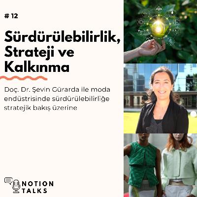 Sürdürülebilirlik, Strateji ve Kalkınma