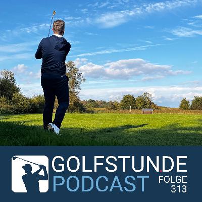 #313 Wedge-Finish #313 Wedge-Finish