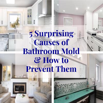 5 Surprising Causes of Bathroom Mold & How to Prevent Them