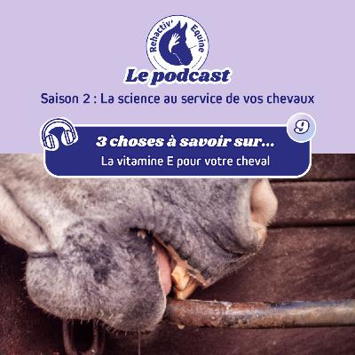 3 choses à savoir sur le tic chez le cheval
