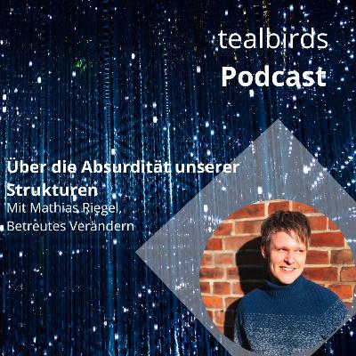 #26 Über die Absurdität unserer Strukturen mit Matthias Riegel über den Wahlkampf der Grünen #26 Über die Absurdität unserer Strukturen mit Matthias Riegel über den Wahlkampf der Grünen