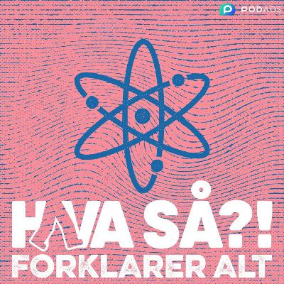 Hva så?! forklarer alt - De mystiske danske neandertalere