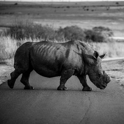 Wie zeige ich meine Stärken richtig